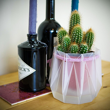 Still life with POTR pot and wine bottle