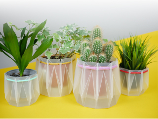 Four pots on a yellow table